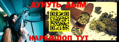 гашик Можга