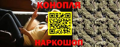 Альфа ПВП Моздок